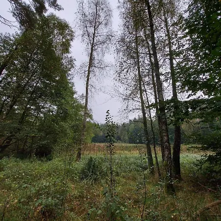 Calm House - Dom Nad Jeziorem Do Wynajecia فيلة
