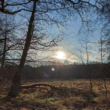 Calm House - Dom Nad Jeziorem Do Wynajecia