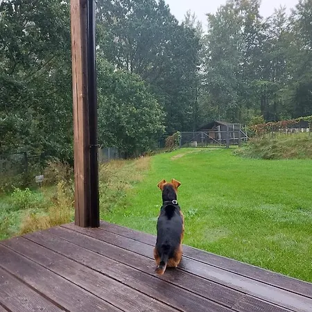 Calm House - Dom Nad Jeziorem Do Wynajecia *