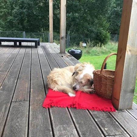 فيلة Calm House - Dom Nad Jeziorem Do Wynajecia