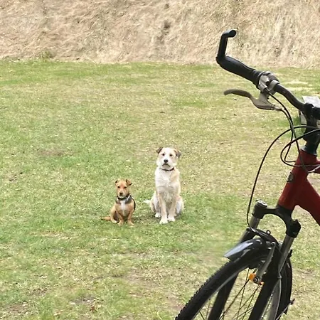 Calm House - Dom Nad Jeziorem Do Wynajecia * Krzynia