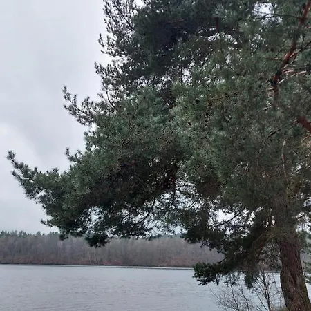 Calm House - Dom Nad Jeziorem Do Wynajecia Krzynia