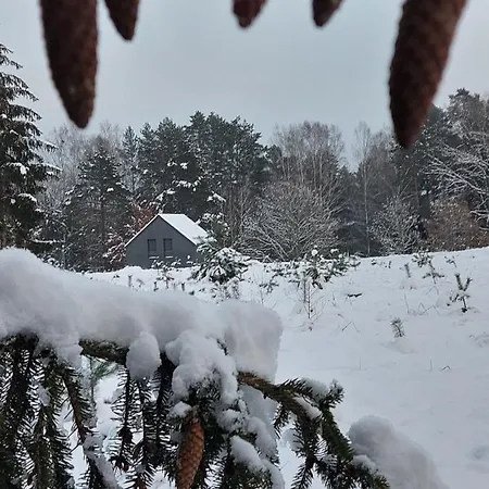 Calm House - Dom Nad Jeziorem Do Wynajecia Krzynia