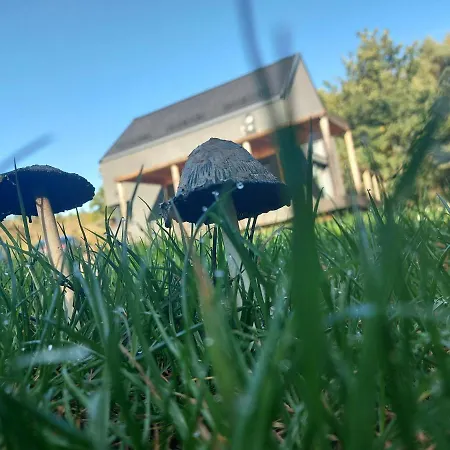 Calm House - Dom Nad Jeziorem Do Wynajecia Βίλα Krzynia