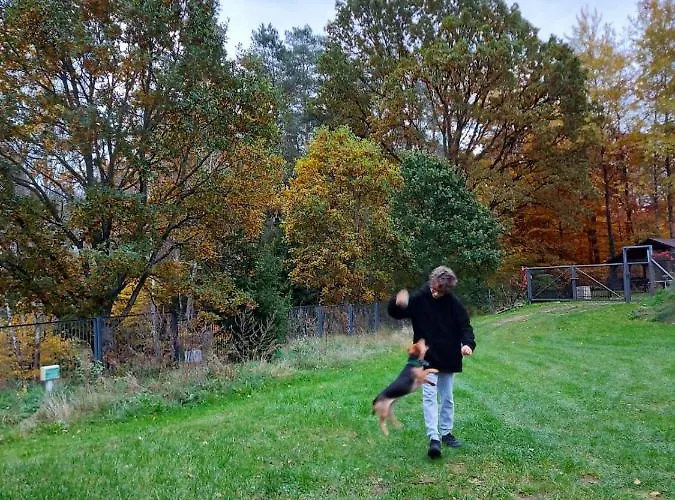 Calm House - Dom Nad Jeziorem Do Wynajecia * Krzynia