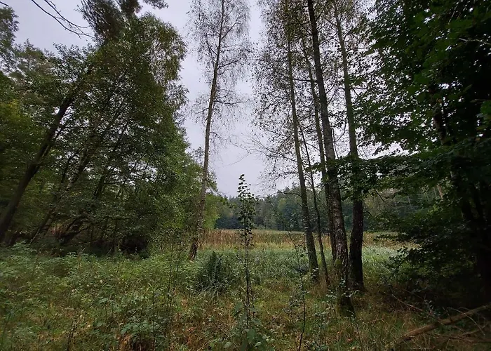 Calm House - Dom Nad Jeziorem Do Wynajecia Βίλα