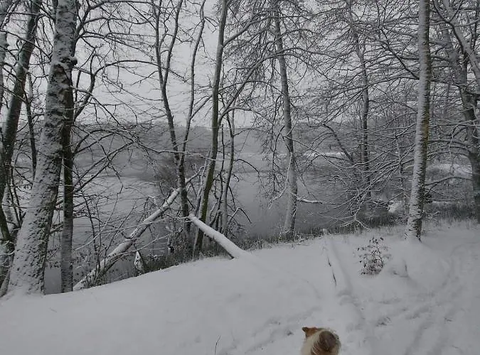 Calm House - Dom Nad Jeziorem Do Wynajecia 빌라 Krzynia