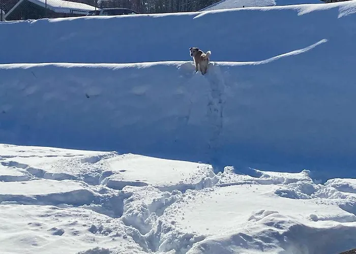 Βίλα Calm House - Dom Nad Jeziorem Do Wynajecia