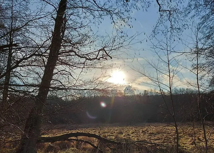 Calm House - Dom Nad Jeziorem Do Wynajecia