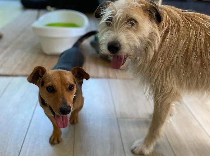 Calm House - Dom Nad Jeziorem Do Wynajecia 빌라