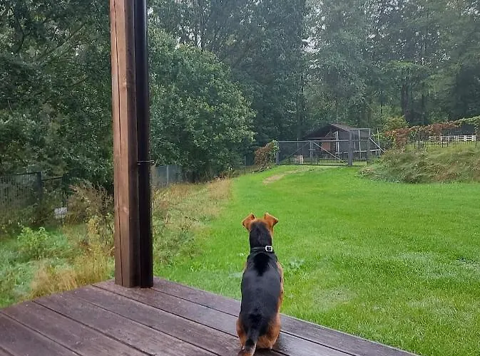 Calm House - Dom Nad Jeziorem Do Wynajecia *