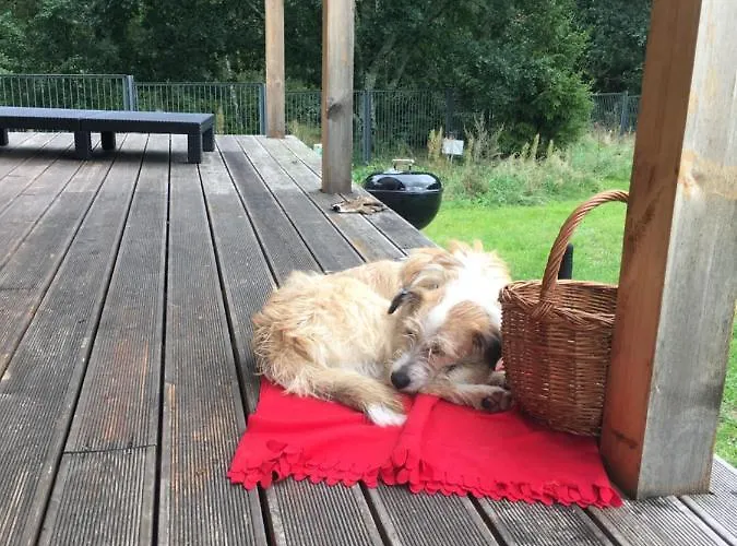 Βίλα Calm House - Dom Nad Jeziorem Do Wynajecia