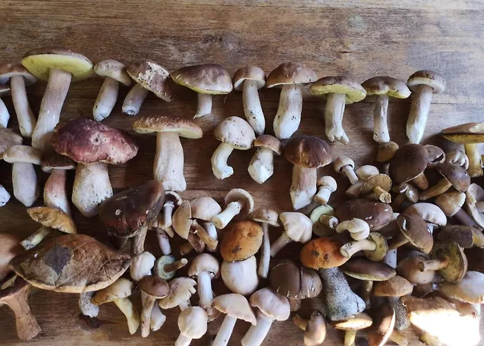 Calm House - Dom Nad Jeziorem Do Wynajecia