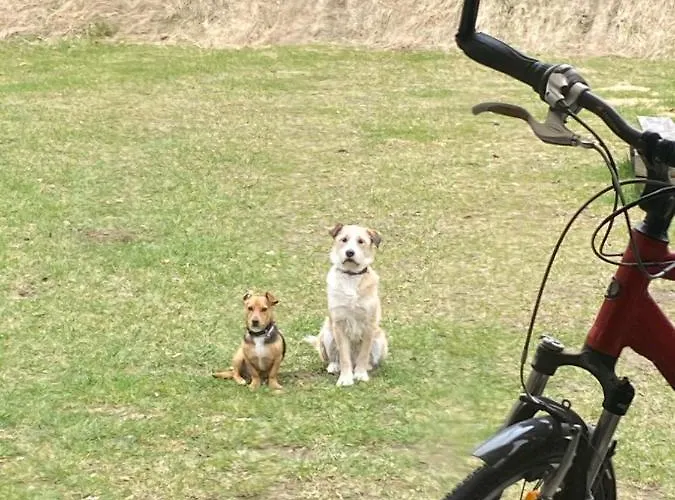 Calm House - Dom Nad Jeziorem Do Wynajecia * Krzynia