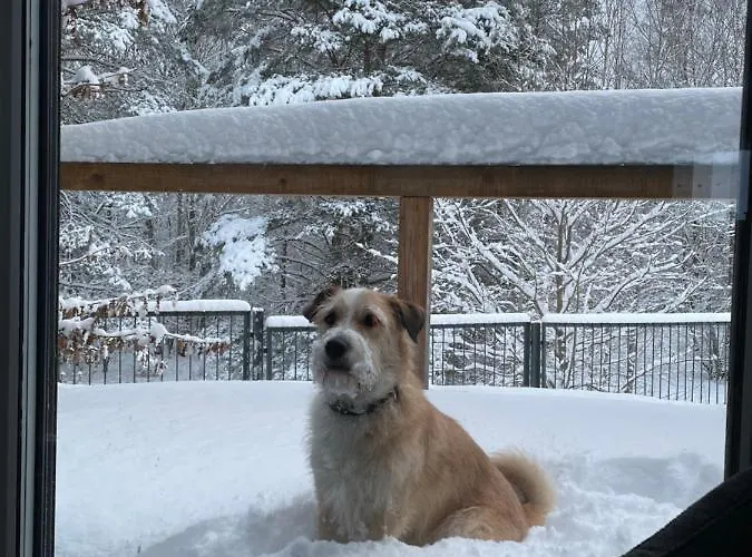 Calm House - Dom Nad Jeziorem Do Wynajecia Βίλα *