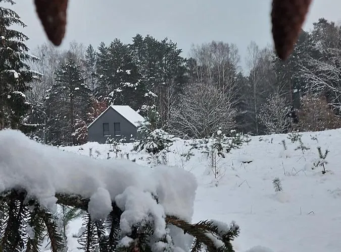 Calm House - Dom Nad Jeziorem Do Wynajecia Krzynia