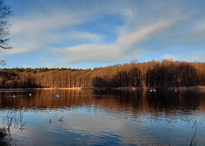 Calm House - Dom Nad Jeziorem Do Wynajecia * Krzynia