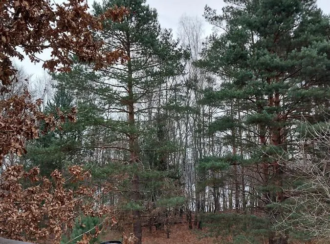 빌라 Calm House - Dom Nad Jeziorem Do Wynajecia Krzynia