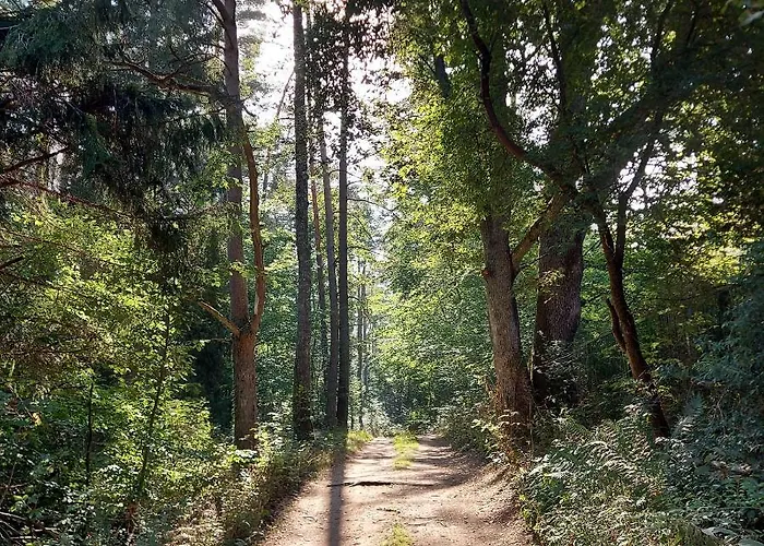 Calm House - Dom Nad Jeziorem Do Wynajecia