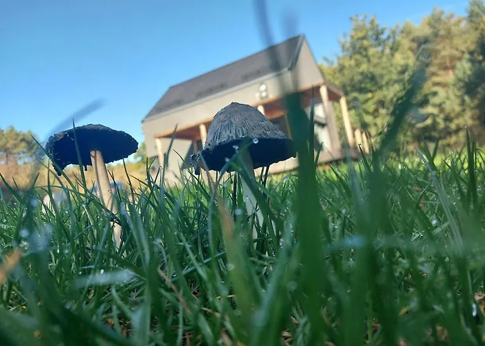 Calm House - Dom Nad Jeziorem Do Wynajecia 빌라 Krzynia