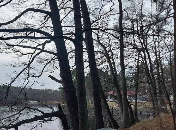 Calm House - Dom Nad Jeziorem Do Wynajecia 빌라 Krzynia