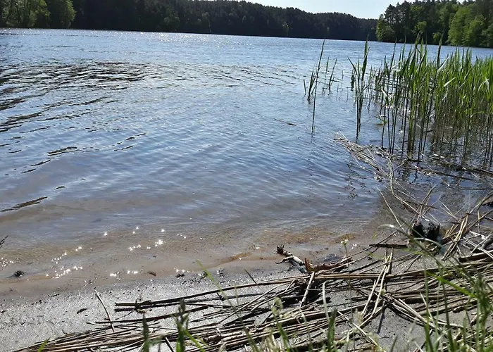 Calm House - Dom Nad Jeziorem Do Wynajecia Krzynia
